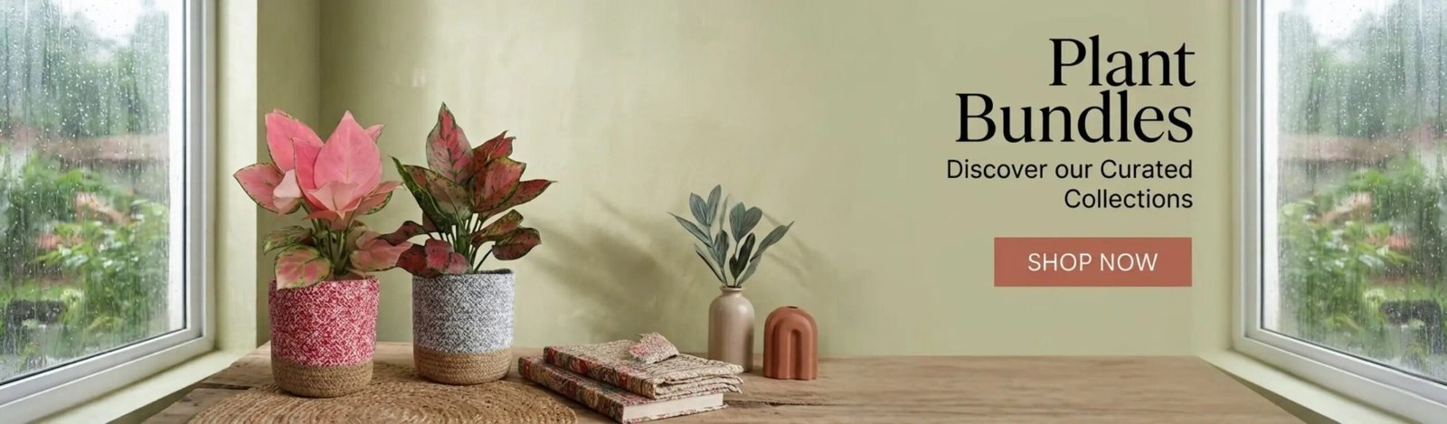 combo-plants-set-monsoon-month-sale-2026-banner-D-greenkin