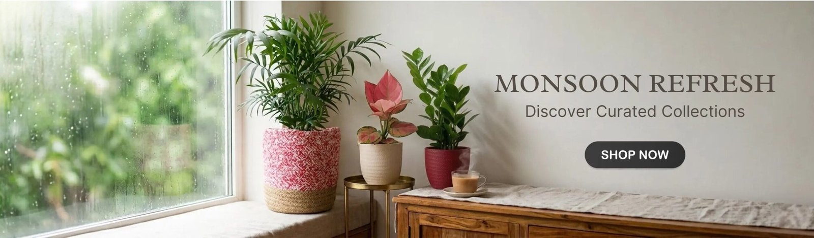 indoor-plant-plants-Monsoon-month-sale-2026-banner-D-greenkin