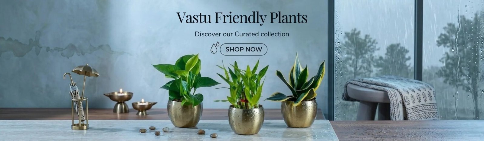 vastu-plants-set-monsoon-month-sale-2026-banner-D-greenkin